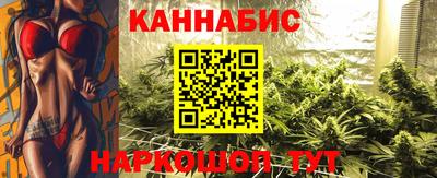 сатива Сланцы