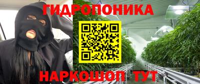 шишки Славянск-на-Кубани
