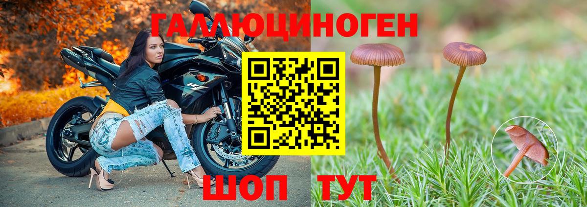 Псилоцибиновые грибы прущие грибы  Вход с VPN  Галлюциногенные грибы мицелий  Острогожск 