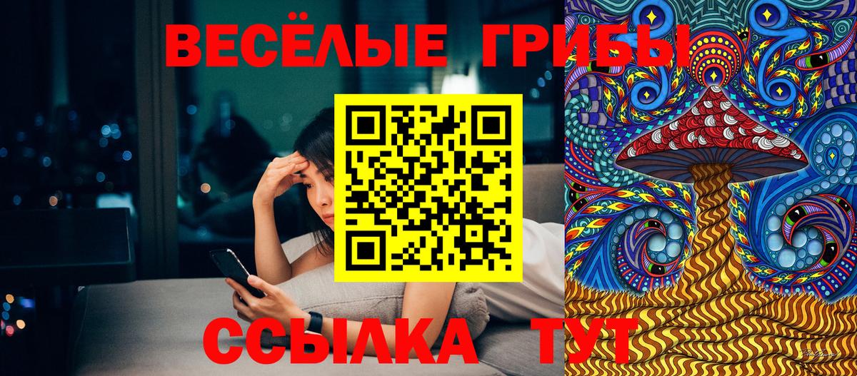 Псилоцибиновые грибы MAGIC MUSHROOMS Острогожск
